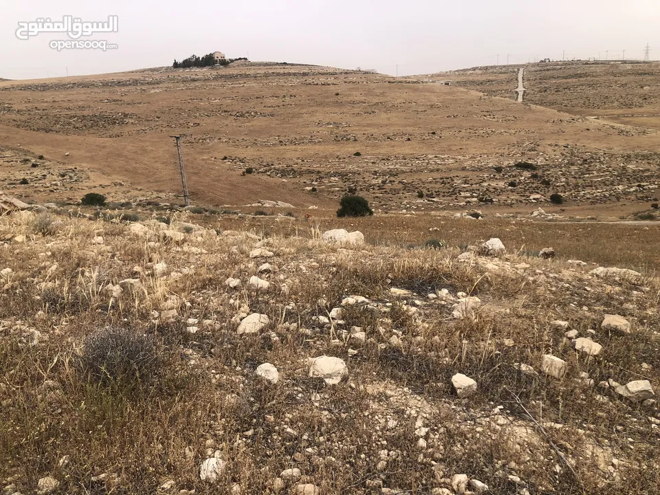 أرض للبيع اراضي شمال عمان شفا بدران زينات الربوع حوض الشكاره مساحة الارض 500 م سند تسجيل مستقل