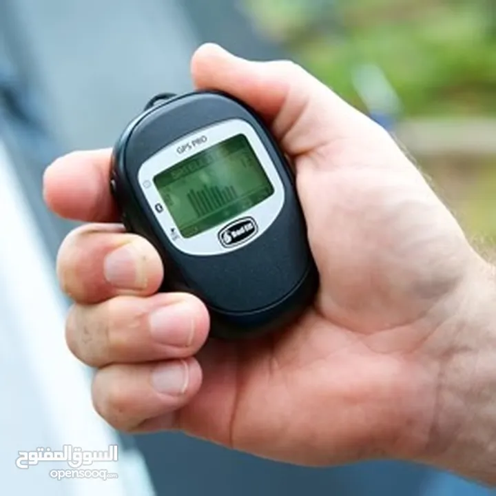 Portable GPS