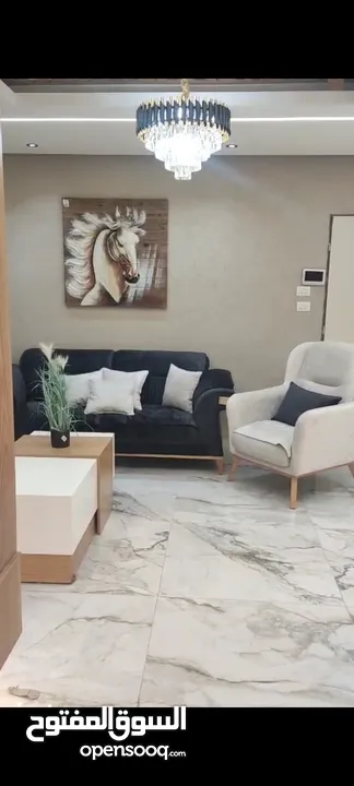 شقة كرتوووونة جديدة مفروشة للإيجار في الماصيون