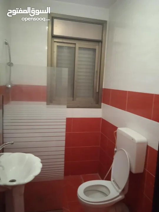 الإيجار .....