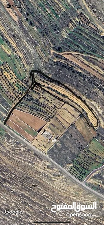 ارض للبيع  الخليل بيت امر  جالا  تنازل من المالك مباشره طابو