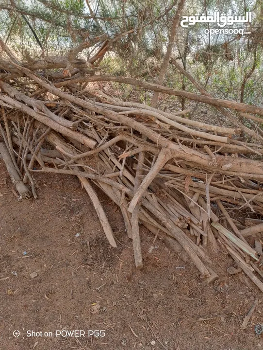 تشكيلة حطب للبيع