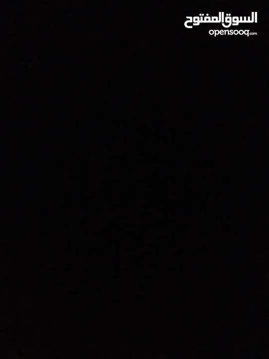 كلب زينة kokoni للبيع بسعر نار