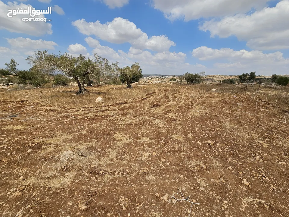 فرصة استثمارية لا تعوض . ارض مميزة للبيع في بيت قاد