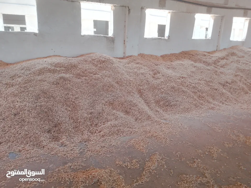 جاروشه وكساره