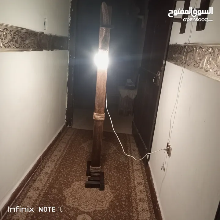اضوية داخلية وخارجية
