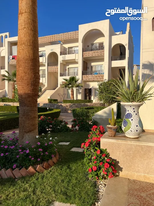 آخر ما لدينا من تصميم أوروبي للبيع - اكتشف منزل أحلامك في شرم الشيخ.