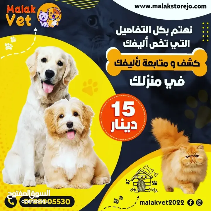 خدمات بيطرية متكاملة للحيوانات الاليفة