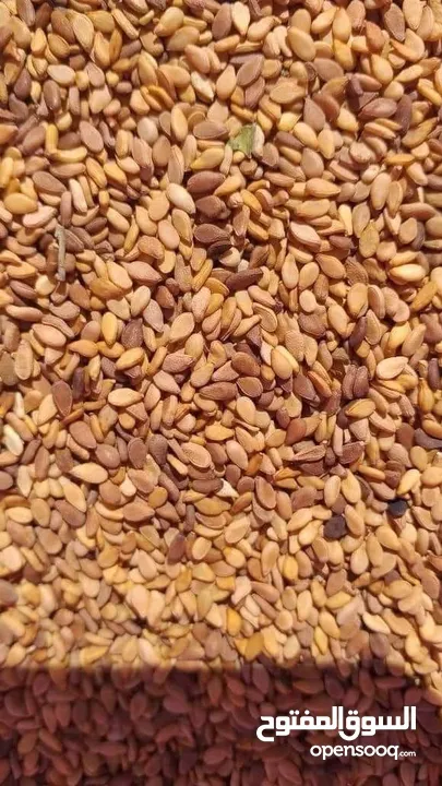 زعتر بلدي ورق سمسم بلدي سماق بلدي