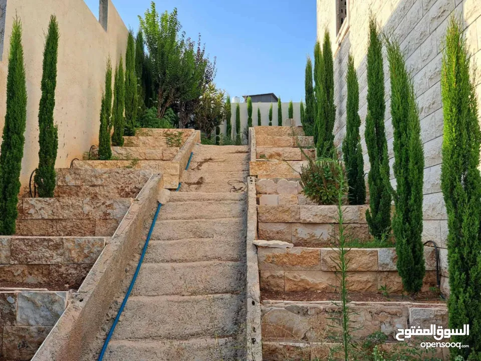 بجانب حلويات البدو