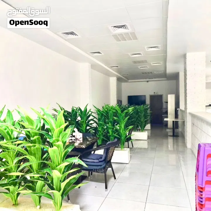 مقهى وكافيه