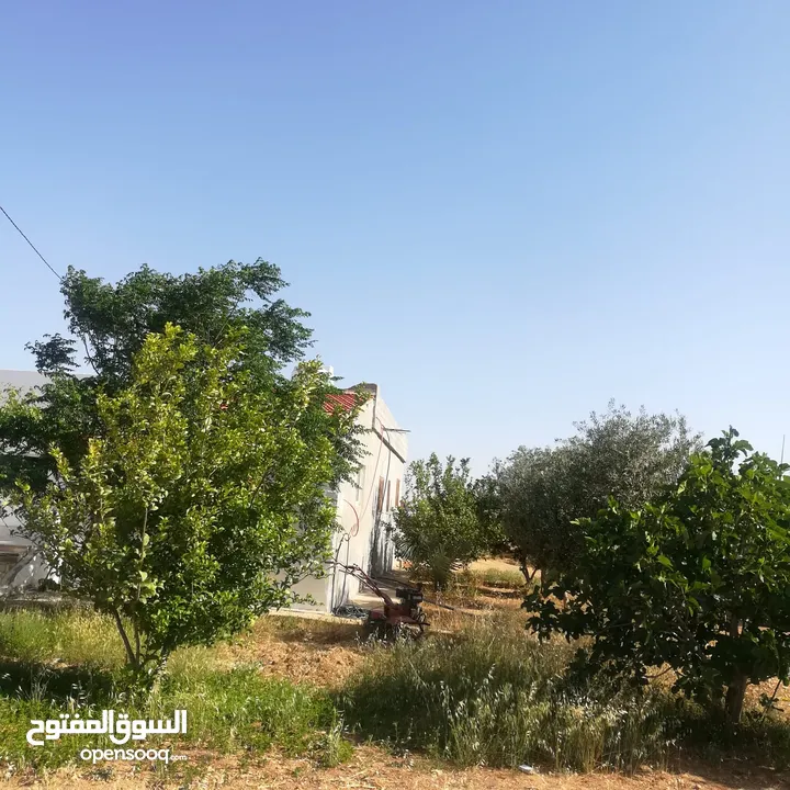 منزل للبيع مستقل