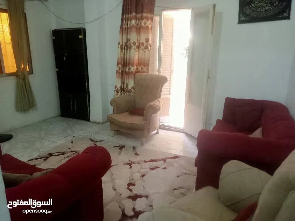شقق مفروشة للإيجار اليومي  في اربد شارع الجامعة عند دخلة شاورمجي