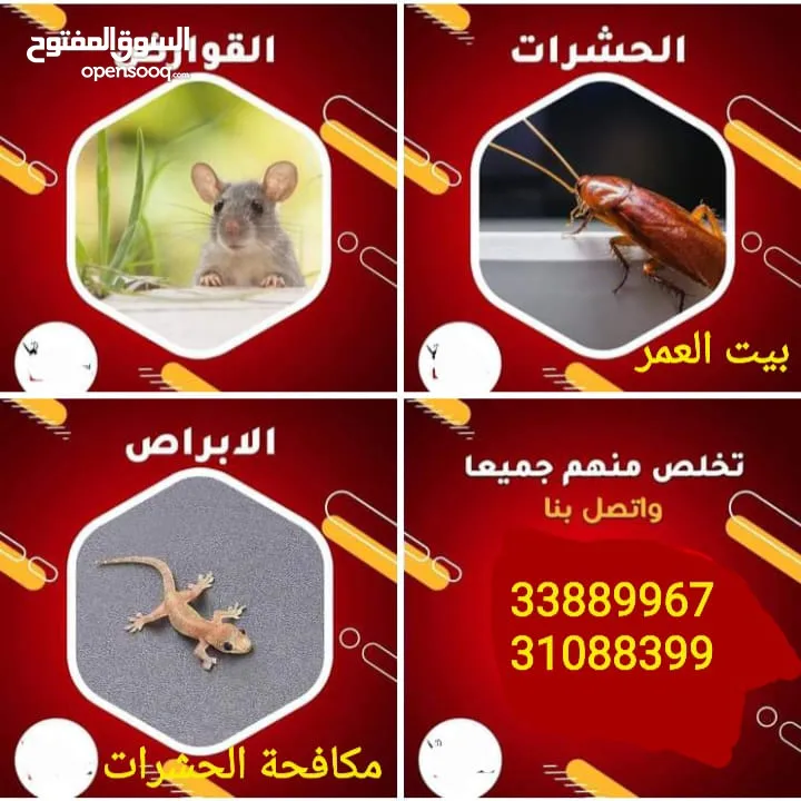 مكافحةالحشرات والقوارض والزواحف