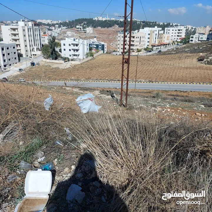 قطعه ارض للبيع مساحه 793 متر مربع  في عمان - ناعور - وادي الكبرا خلف محطه السلام طريق البحر الميت