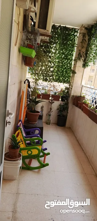 شقه لقطه بسعر مغري في ضاحية الأمير حسن طابق أول 3 غرف نوم ومعيشة وصالون ومطبخ جديد وبلكونه