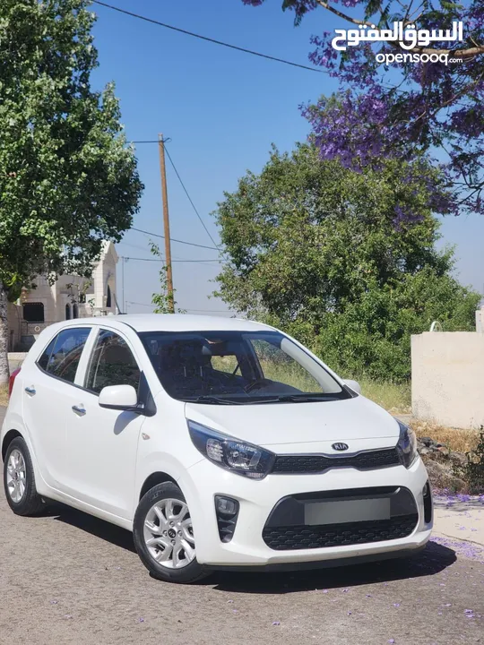 كيا مورنينك ترخيص 2019