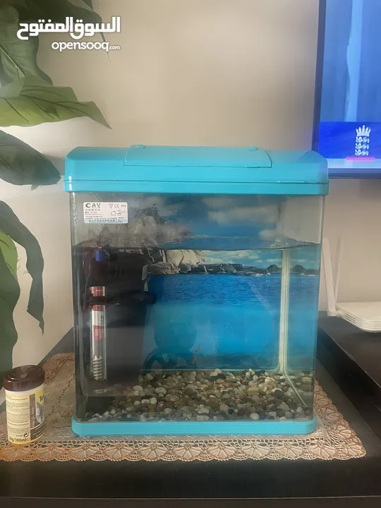 Fish Tank / Aquarium for urgent sale