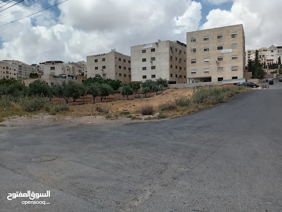أرض مميزة في الجبيهة أم زويتينة للبيع تصلح لفيلا أو إسكان مساحتها 965 متر