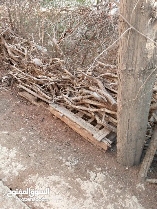 تشكيلة حطب للبيع