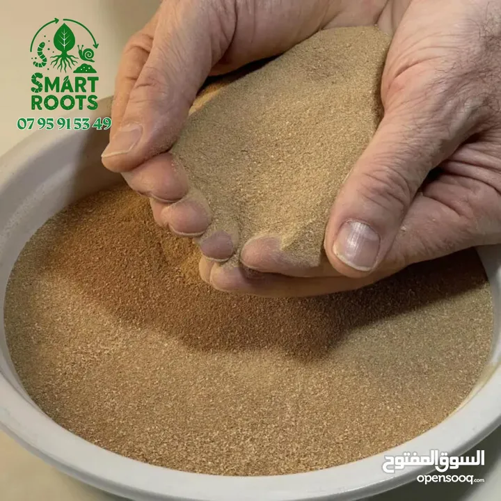 سماد عضوي ( سماد فضلات دود الطحين )  Mealworm Frase لأول مرة بالأردن