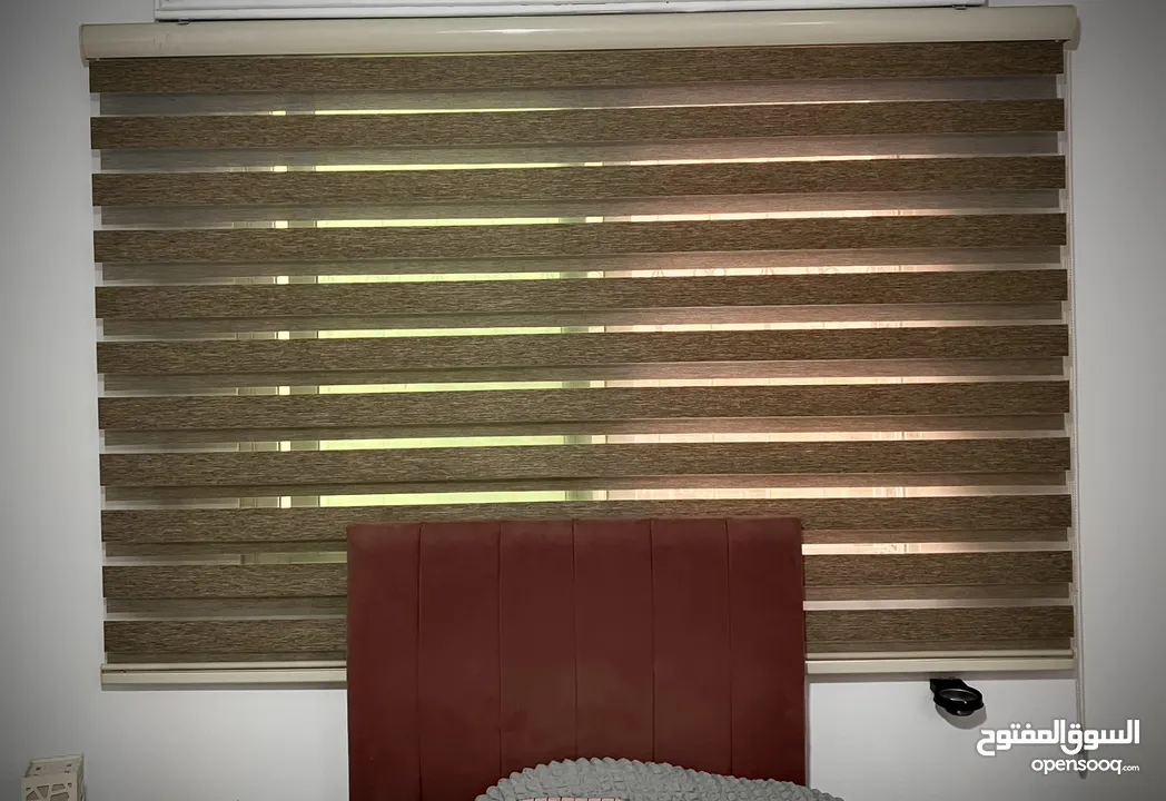 برداية زيبرا تركي