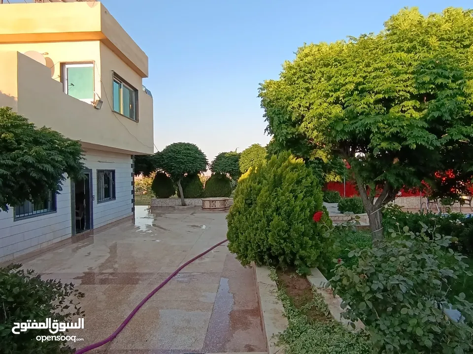 مزرعة جاهزة على المفتاح
