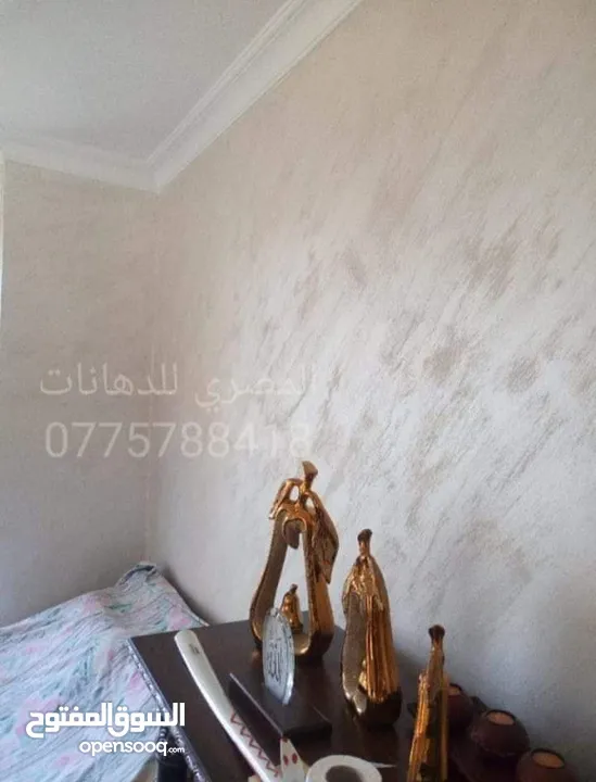 دهين مصرى محترف خبرة 21 عام بالأردن