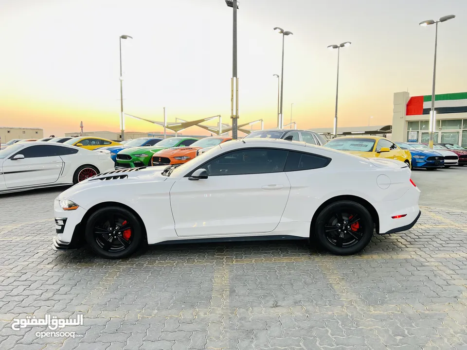 FORD MUSTANG ECOBOOST 2022 / SHELBY KIT