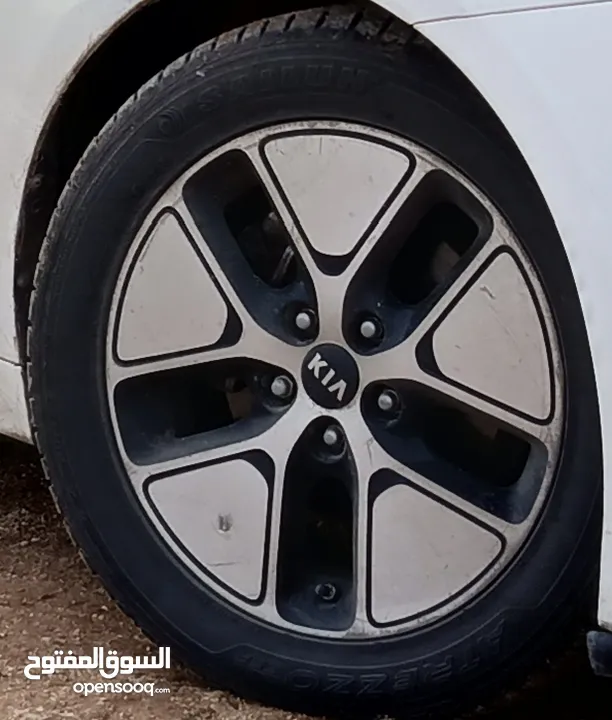 فردة كوشوك 17 نص عمر