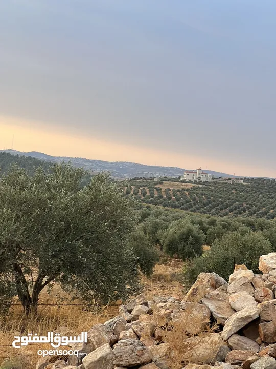 اجمل قطعه ارض للبيع جرش جبا مطله على الغرب 4000متر مفروزه بقوشان مستقل مقابل ثغرة عصفور