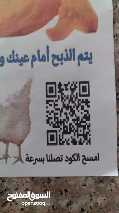 دواجن الرضا في خدمتكم