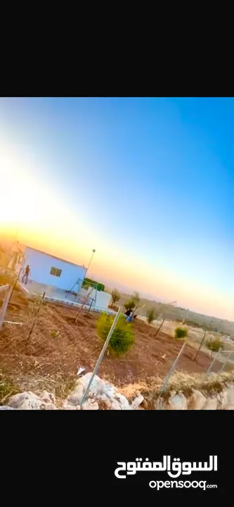 ارض للبيع 1100م منطقه الصره