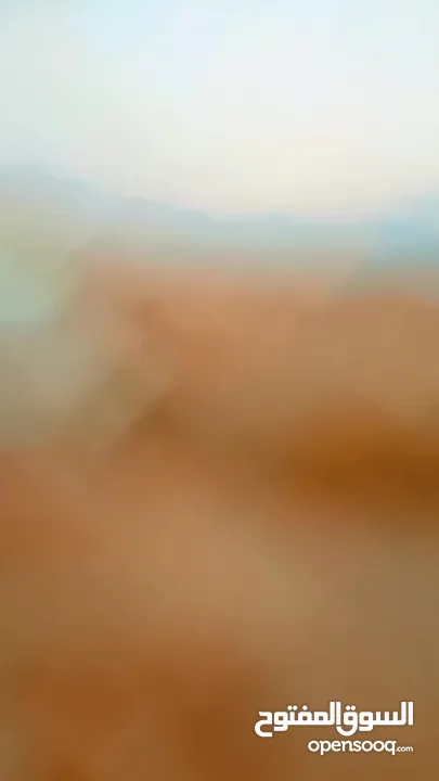 ارض للبيع في الشواورة ابو زتون