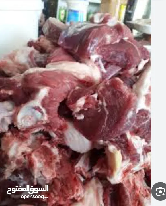 كل عام وانتم بخير بمناسبة حلول عيد الأضحى المبارك  ذبح وسلخ وتقطيع باحترافيه عاليه