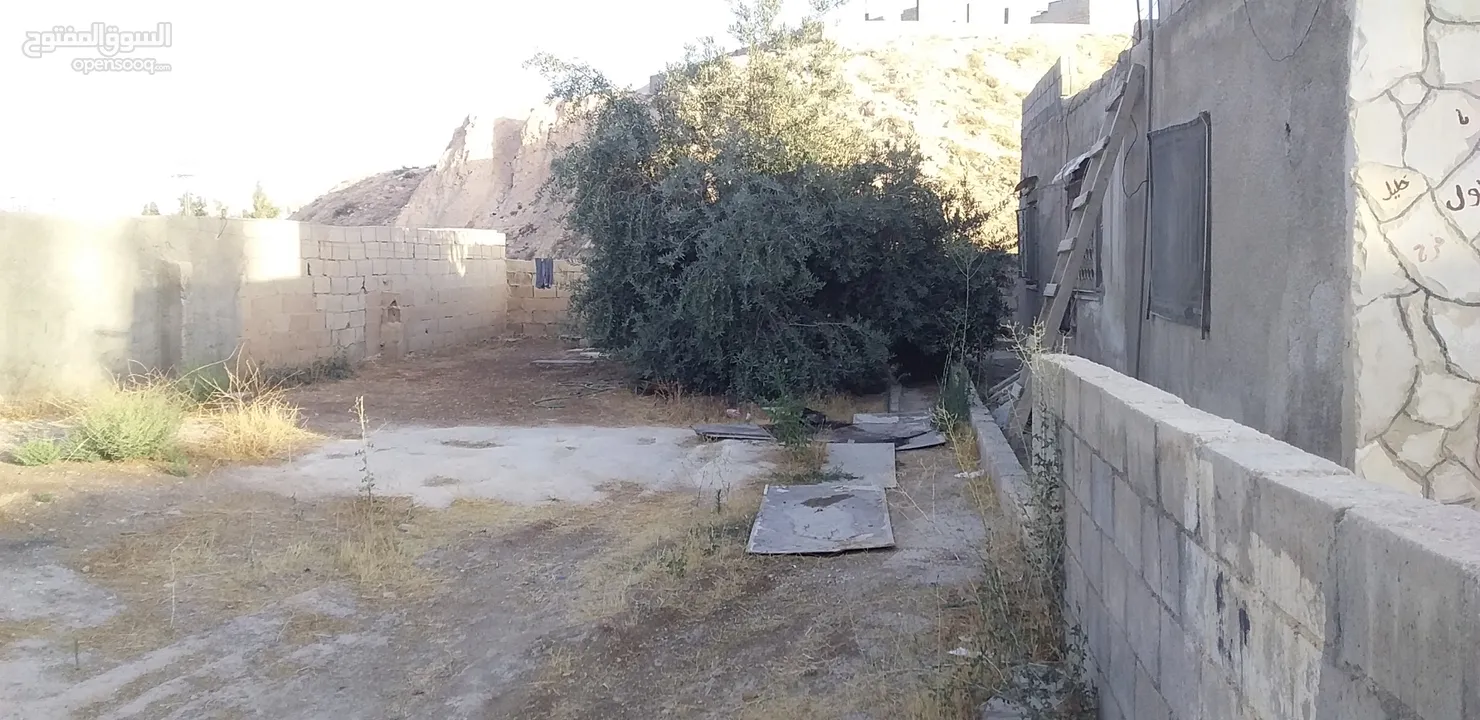منزل مع مساحة ارض في قريه ابو صياح