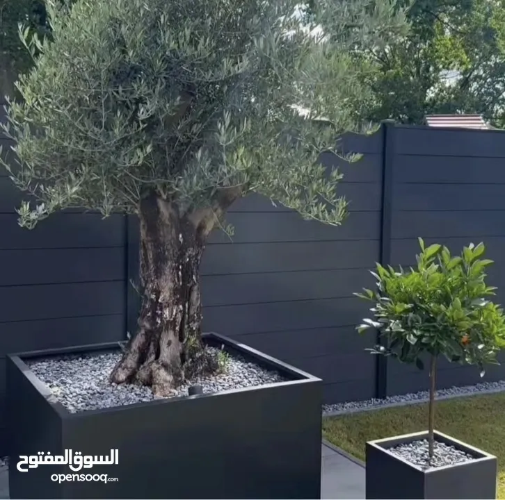 تفصيل قواوير فايبر جلاس بشكل عصري أنيق  زراعة وتسميد النباتات الداخلية والخارجية بإشراف مهندسين