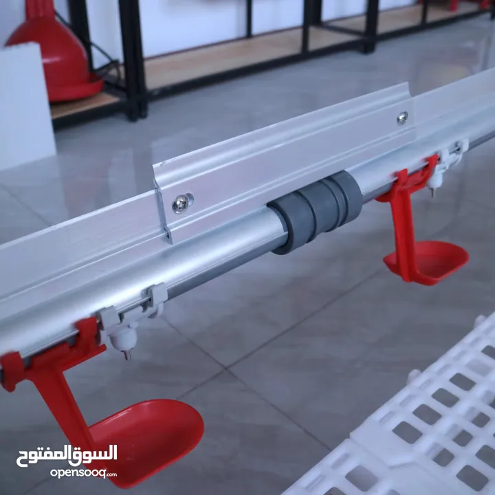 إنشاء وتجهيز مزارع الدواجن بنظام الحديثه