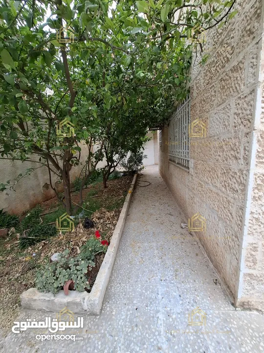 شقة فارغة - الرابية - 4نوم - 225م - حديقة - قرب الخدمات العامة - موقع هادئ ومميز