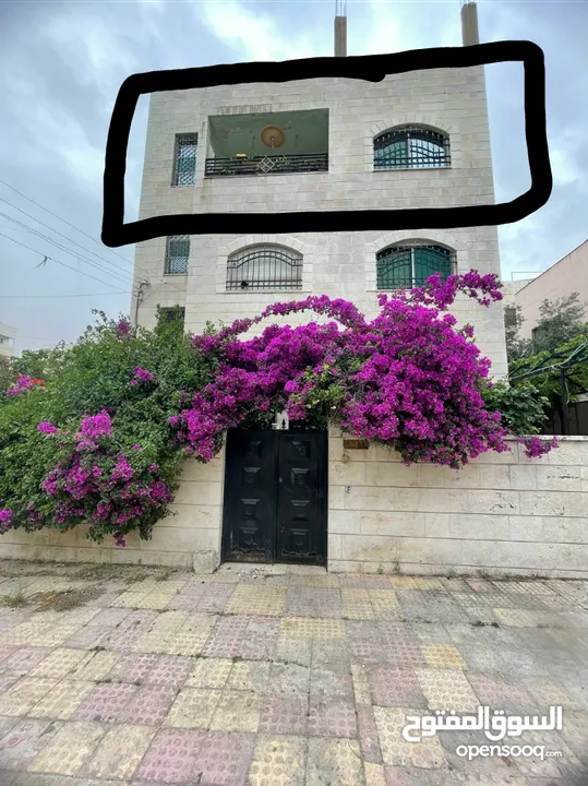 شقة طابق ثاني للبيع 150 متر كامل