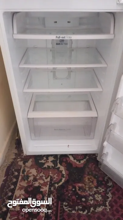 اربد البارحه