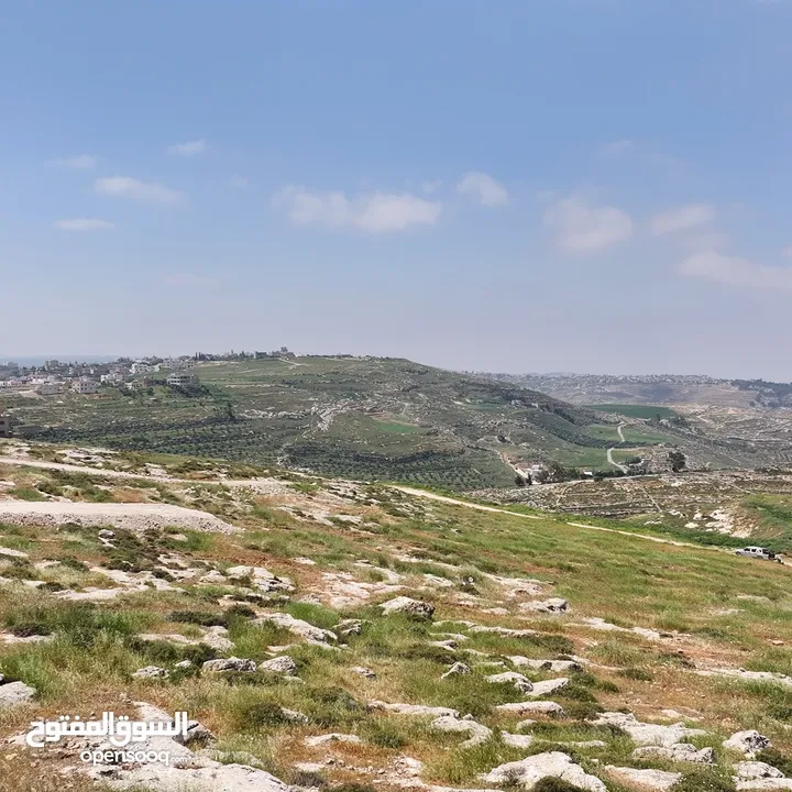 ارض سكنية استثمارية للبيع من المالك مباشرة 700 م تنظيم سكن ب _ ناعور _ حسبان _ شارع مادبا الغربي