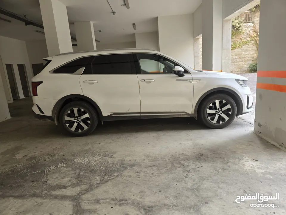 سورينتو  بيزنيس فل الفل مع بانوراما ولا غرام بويا عداد 39 الف اصلي