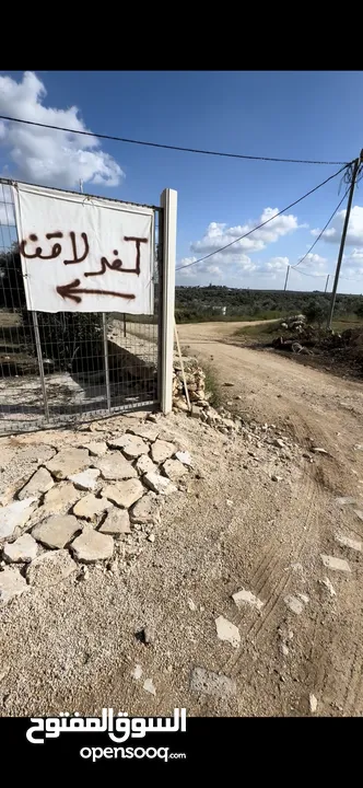ارض تصنيف بي