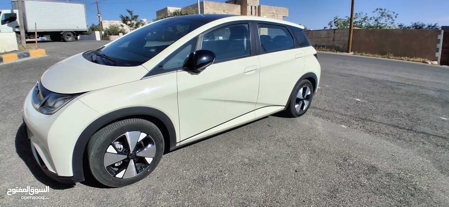 BYD 2023 دولفين