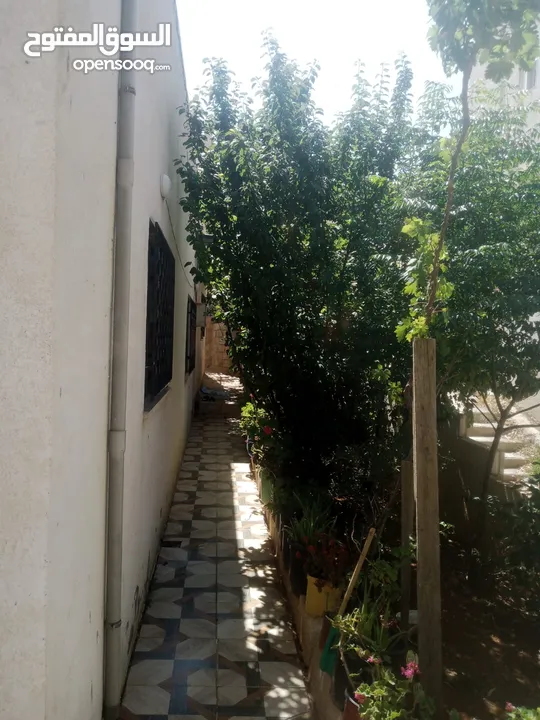 منزل مستقل جرش اسكان عجرمه  3غرف نوم 2حمام  صاله مع مطبخ امريكي  بلكونه  حديقه مساحه الارض 305