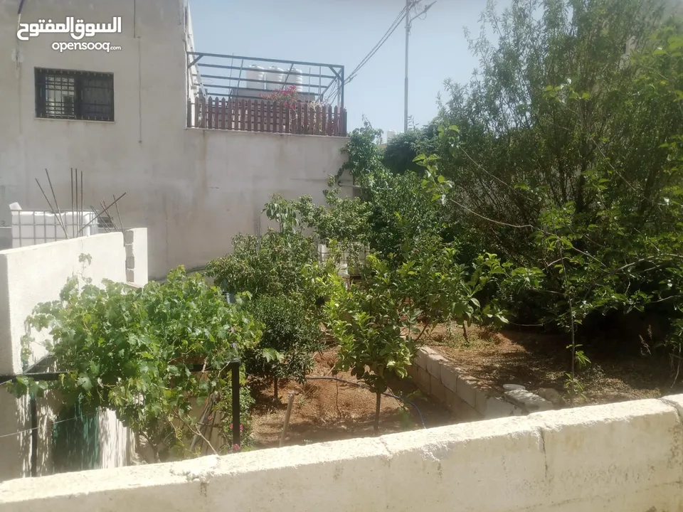منزل مستقل جرش اسكان عجرمه  3غرف نوم 2حمام  صاله مع مطبخ امريكي  بلكونه  حديقه مساحه الارض 305