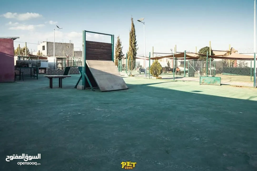 فندق ومركز تدريب للكلاب