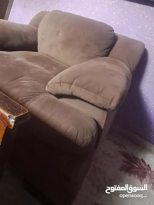 كنباي امريكي دالوف اصليه