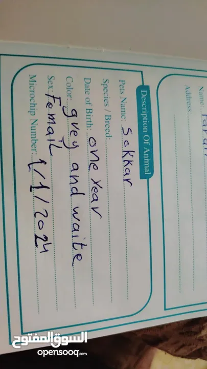 سكوتش ميكس بريتش